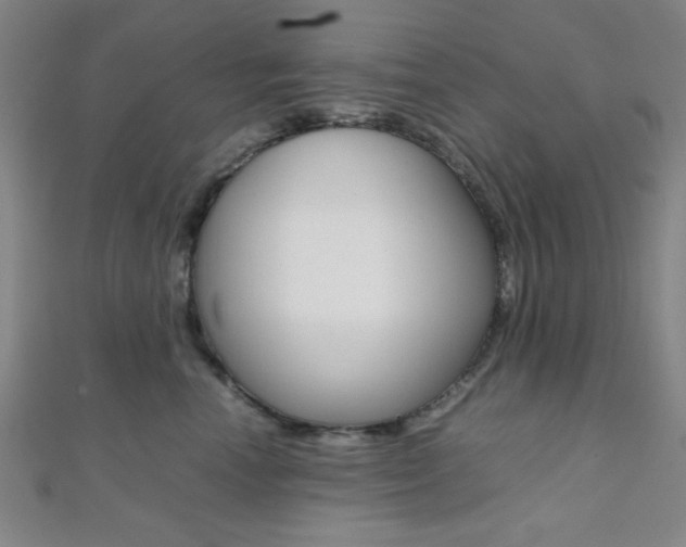 X0000112110666200908041152