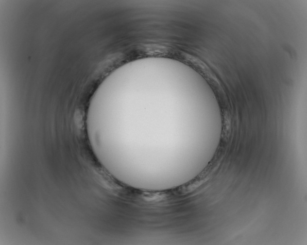 X0000112110667200908041152