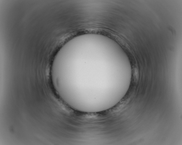 X0000112110668200908041152