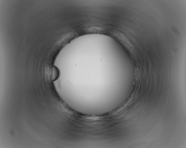 X0000112110669200908041152