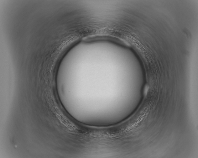 X0000112110673200908041152