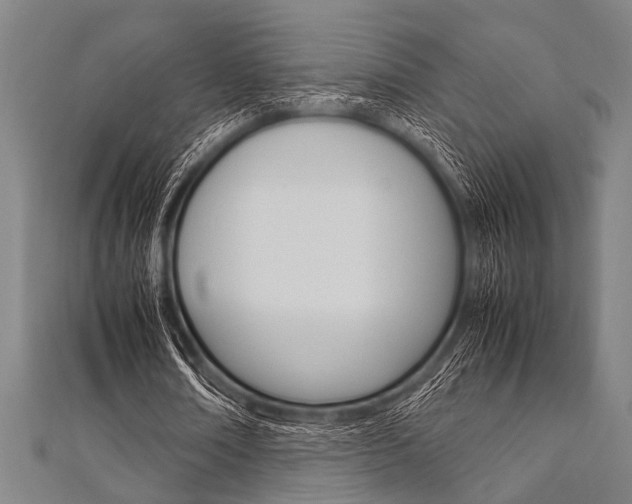 X0000112110674200908041152
