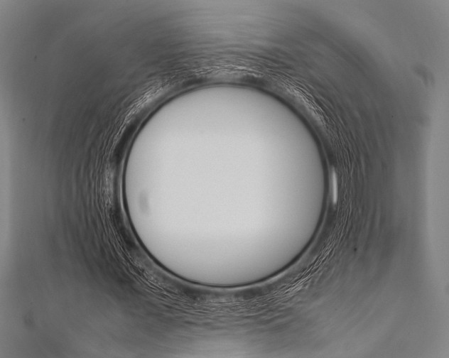 X0000112110675200908041152
