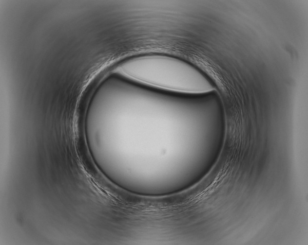 X0000112110676200908041152
