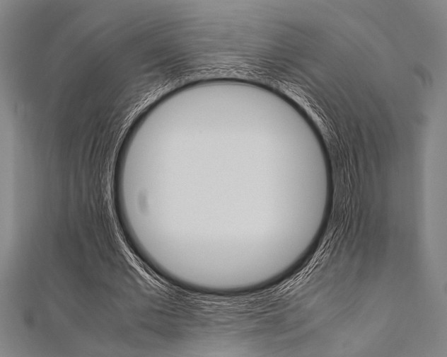 X0000112110677200908041152