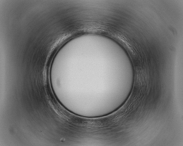 X0000112110678200908041152