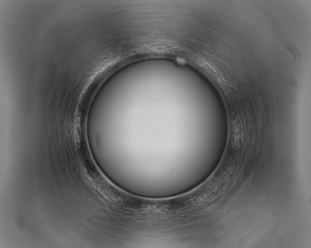 X0000112110680200908041152