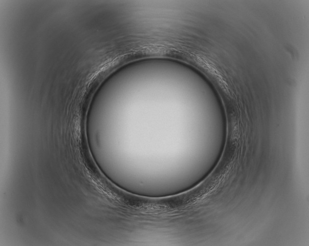 X0000112110681200908041152