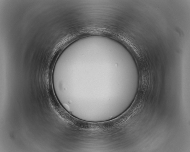 X0000112110682200908041152