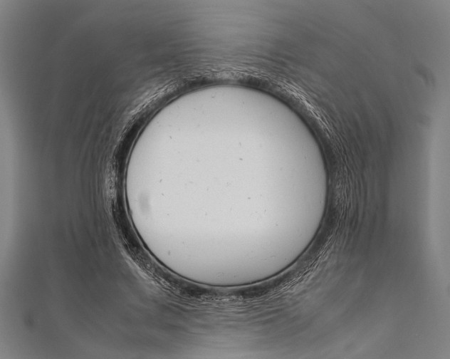 X0000112110683200908041152