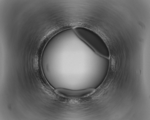 X0000112110684200908041152