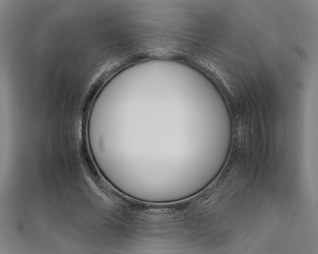 X0000112110686200908041152