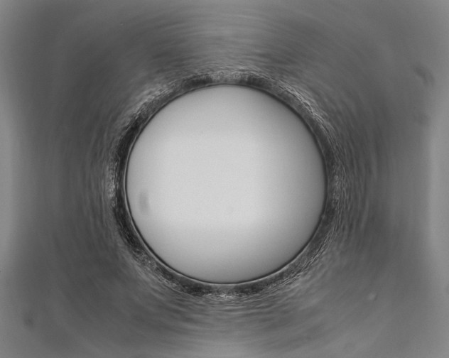X0000112110687200908041152