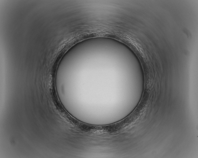 X0000112110689200908041152
