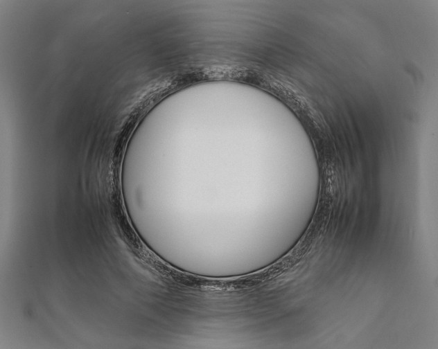 X0000112110690200908041152