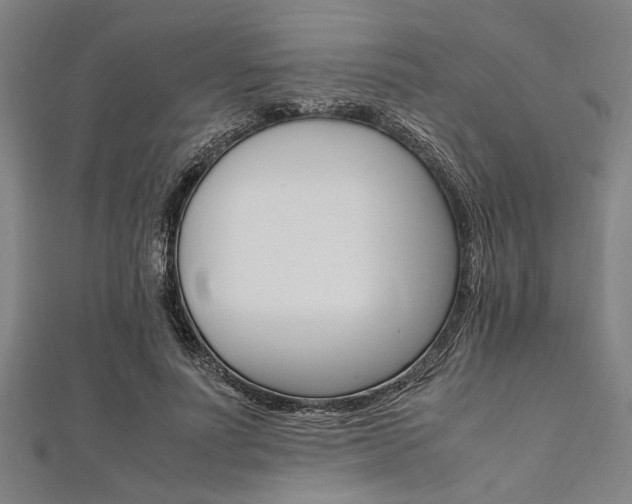 X0000112110691200908041152