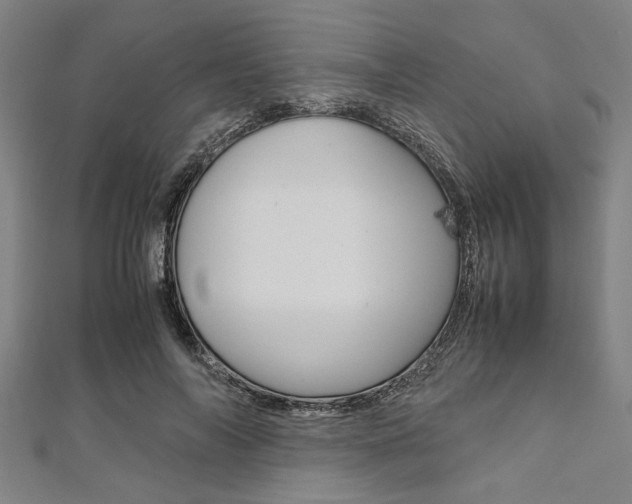 X0000112110694200908041152