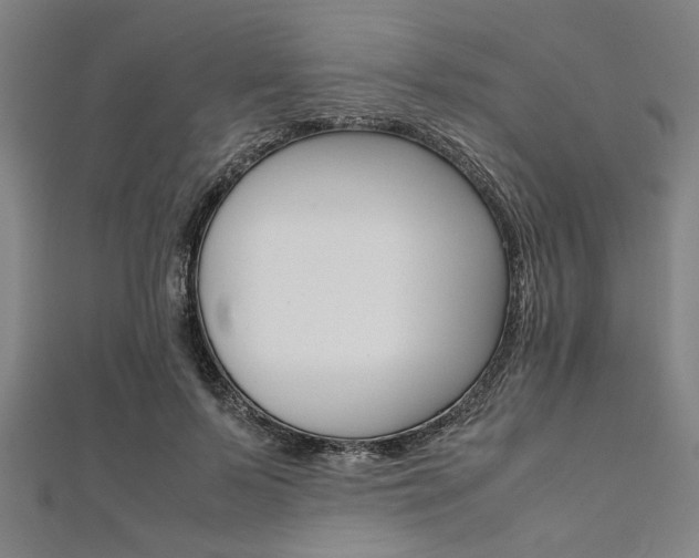 X0000112110695200908041152