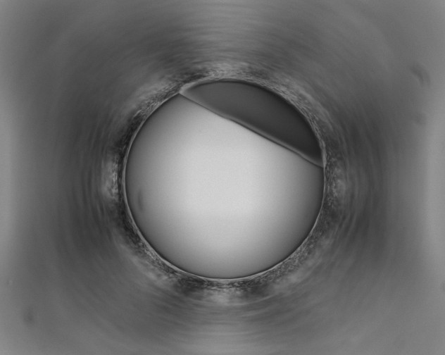 X0000112110696200908041152