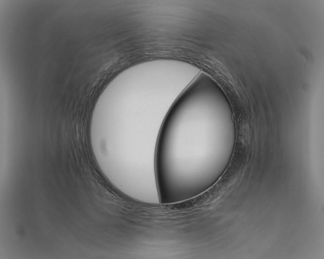 X0000112110697200908041151