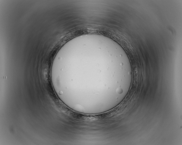 X0000112110698200908041151