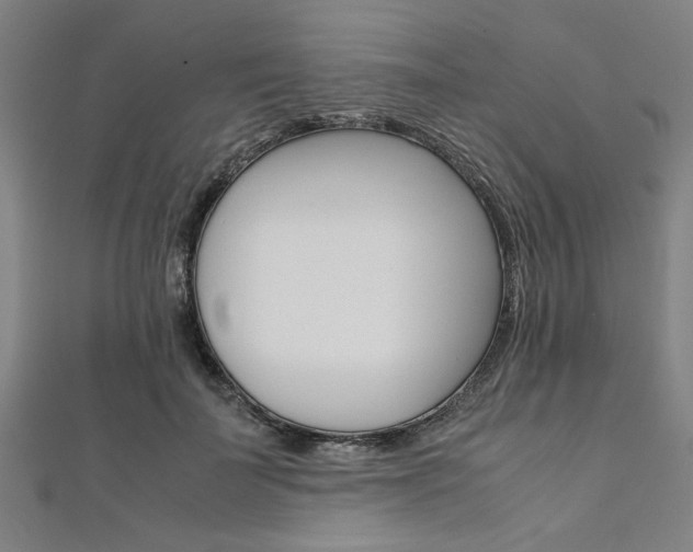 X0000112110699200908041151