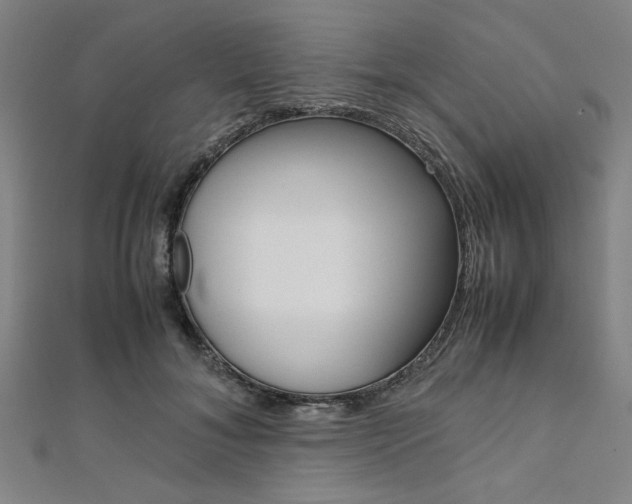 X0000112110700200908041151