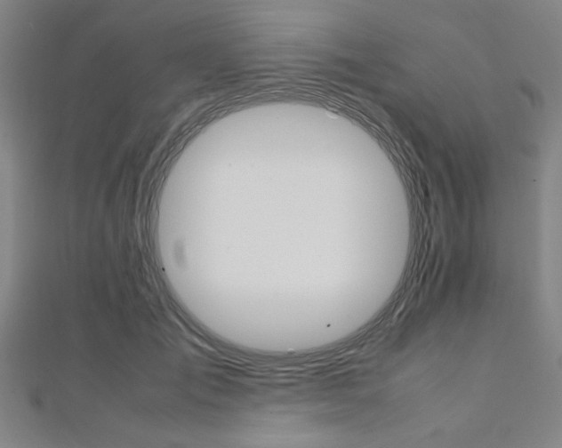 X0000112110701200908041151