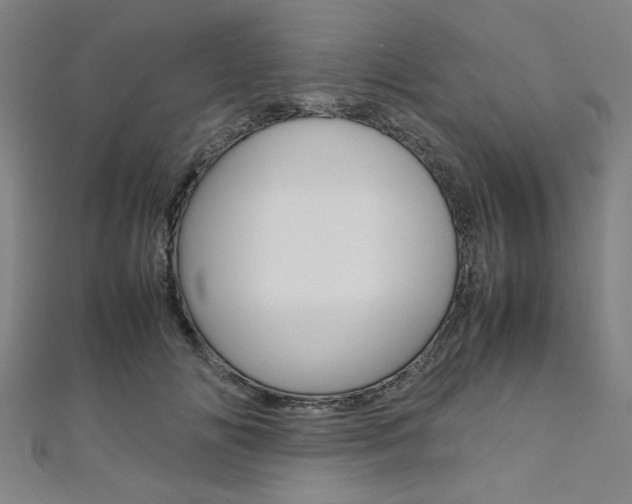 X0000112110702200908041151