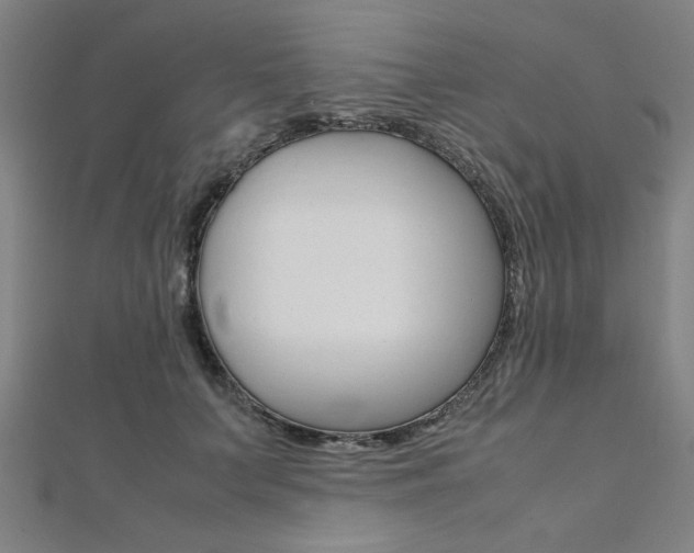 X0000112110703200908041151