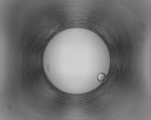 X0000112110704200908041151