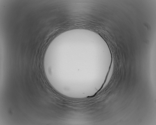 X0000112110705200908041151