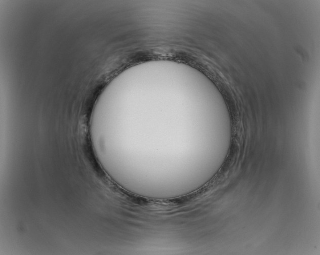 X0000112110707200908041151