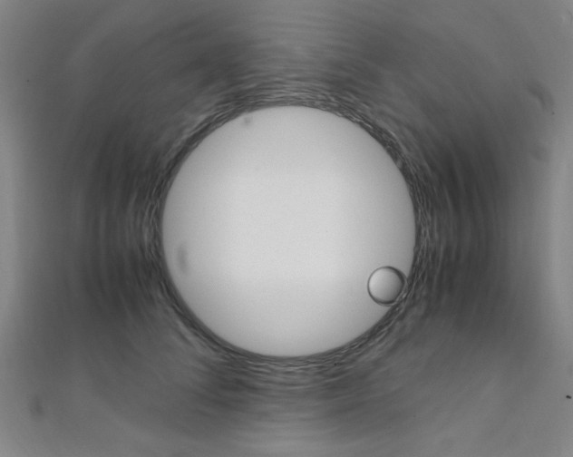X0000112110708200908041151