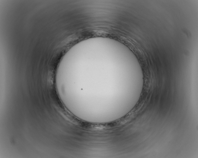 X0000112110710200908041151