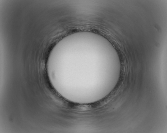 X0000112110711200908041151