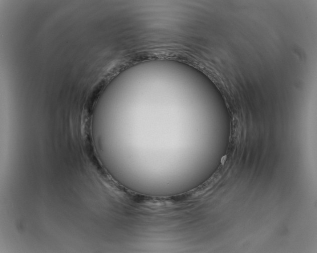 X0000112110712200908041151