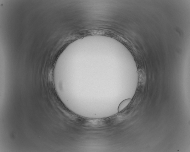 X0000112110713200908041151