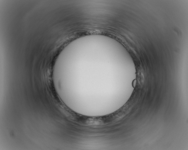X0000112110714200908041151