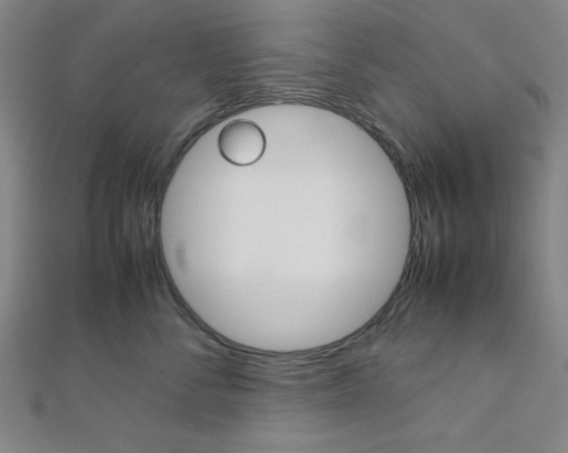 X0000112110716200908041151