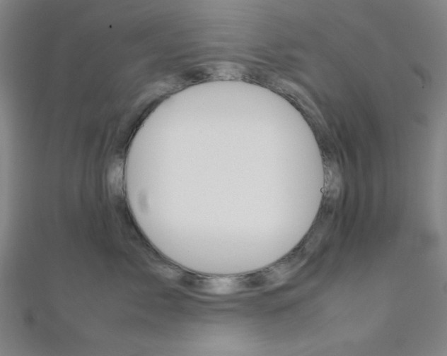 X0000112110717200908041151