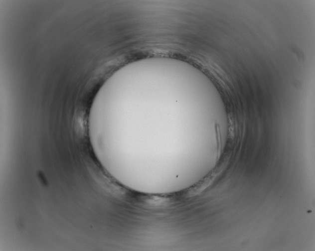 X0000112110718200908041151