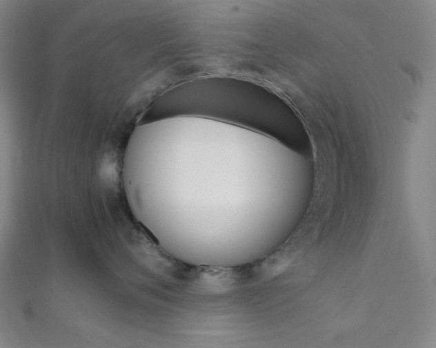 X0000112110720200908041151