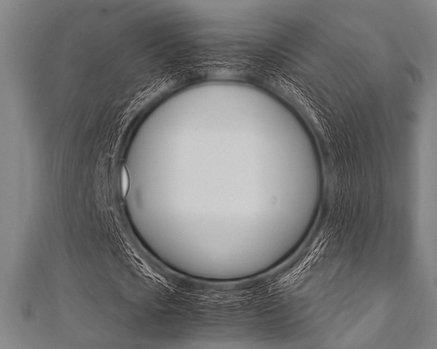 X0000112110721200908041151