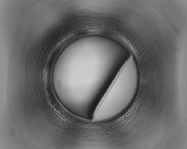 X0000112110722200908041151