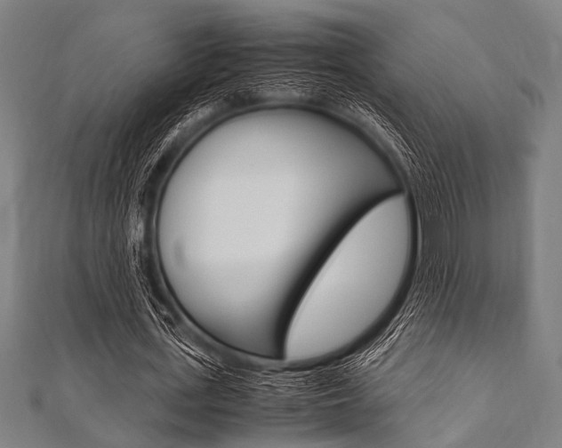 X0000112110723200908041151