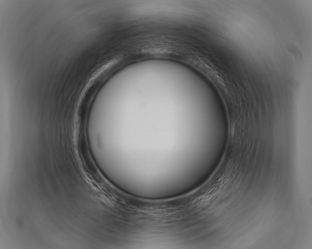 X0000112110724200908041151