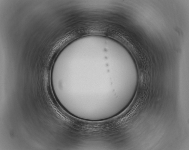 X0000112110725200908041151