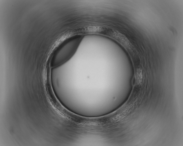 X0000112110726200908041151