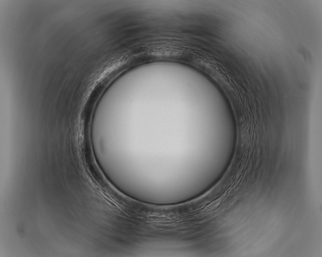 X0000112110727200908041151